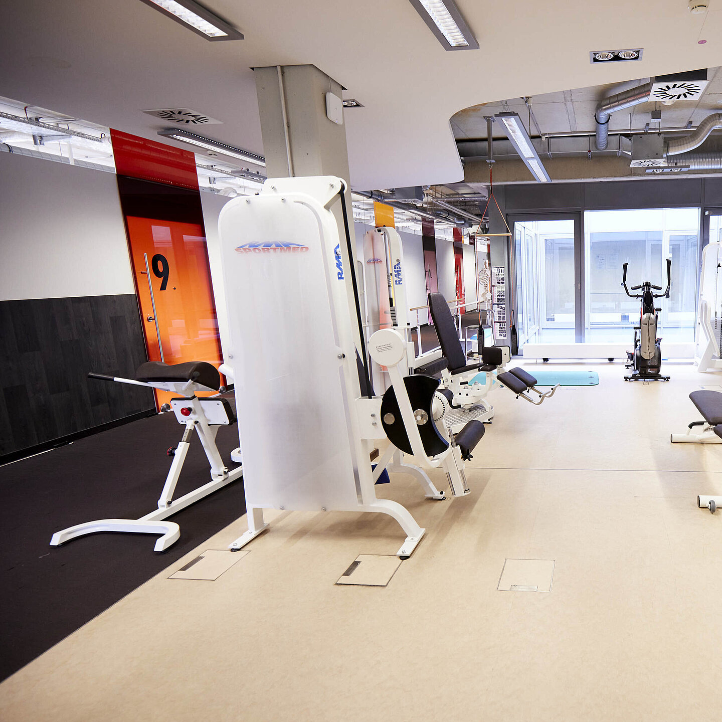 Medizinische Trainingstherapie - Medical Park Alpha-REHA Roth ...